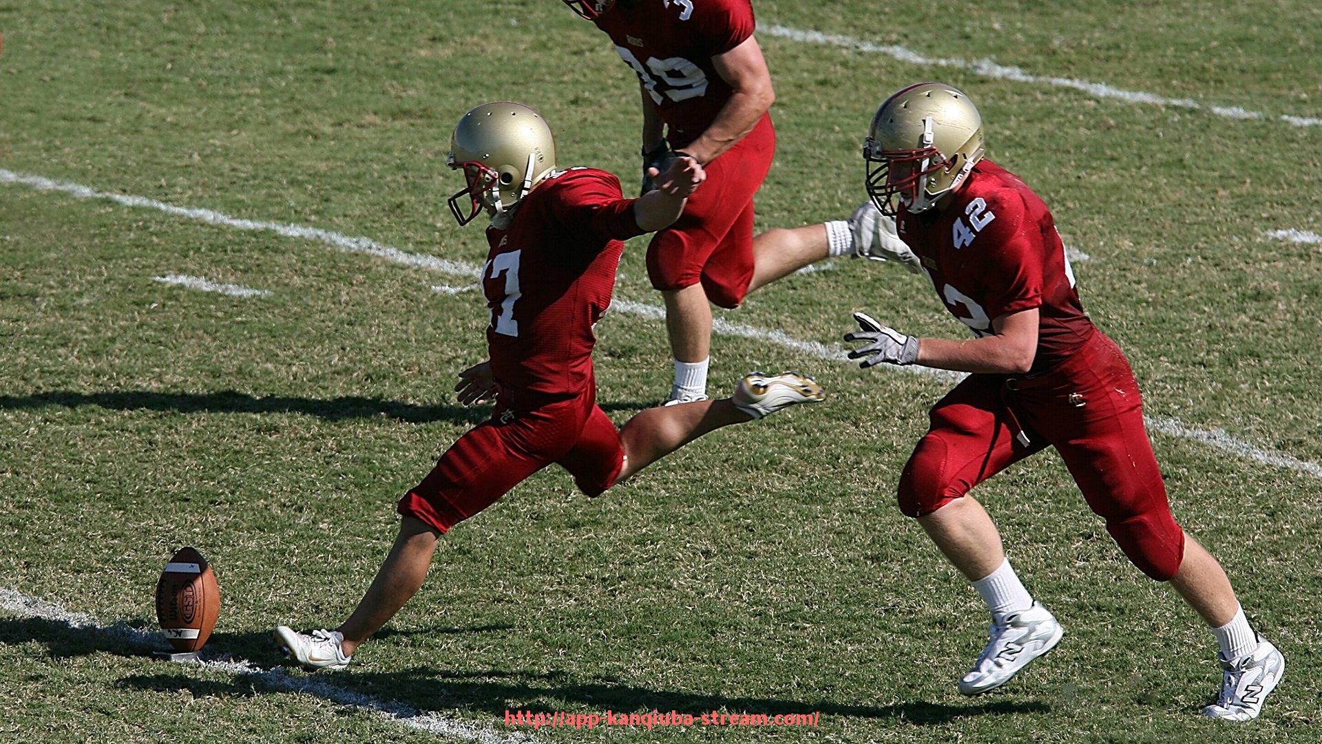 看球吧直播-法甲2024赛季比赛统计数据更新汇总